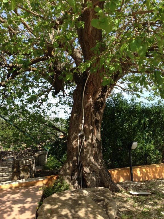 Lovely Cottage Castellammare del Golfo Buitenkant foto